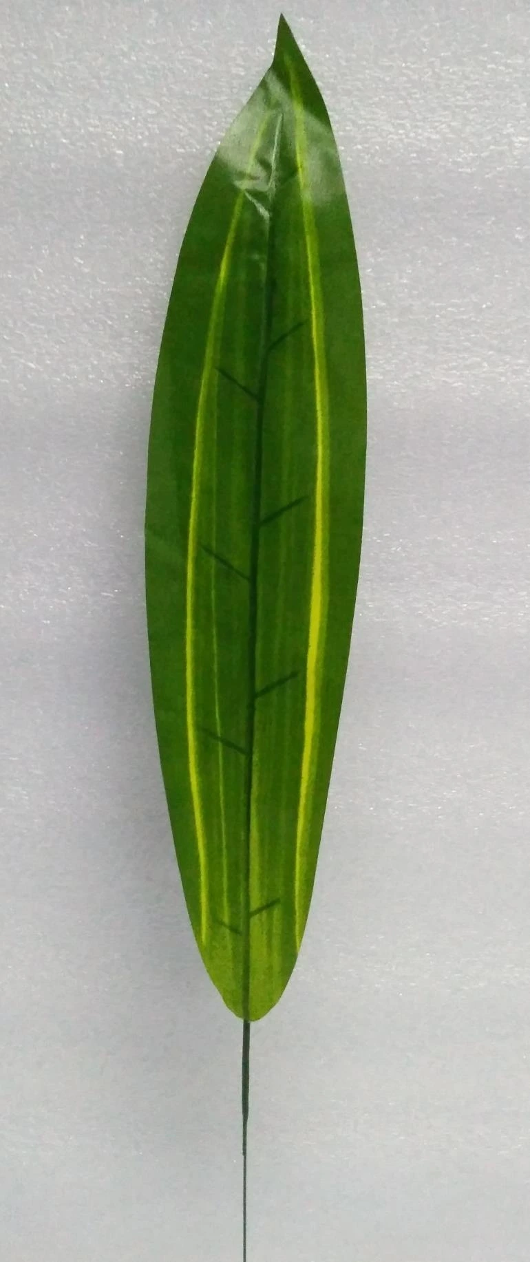 Drycina Leave x1 Regular